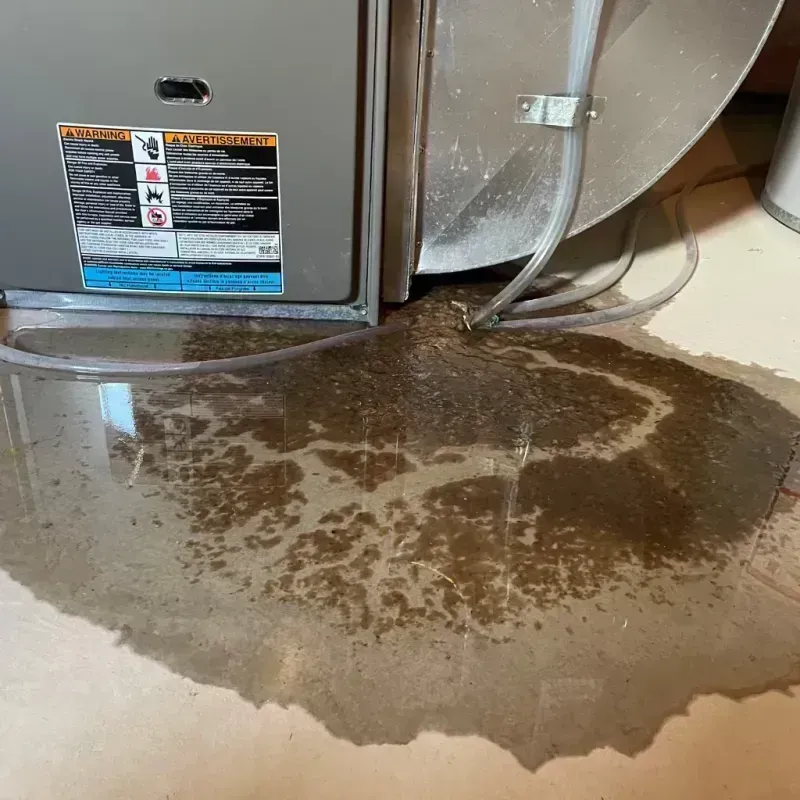 Appliance Leak Cleanup in Berthoud, CO